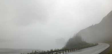 Foggy Alaska